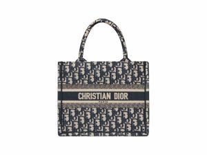 Dior Book Tote Rep Bag Small Blue